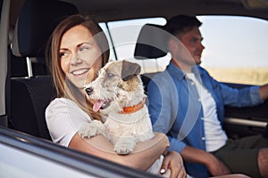 Young couple and their dog traveling together in a car