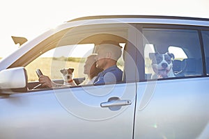 Young couple and their two dogs traveling by car