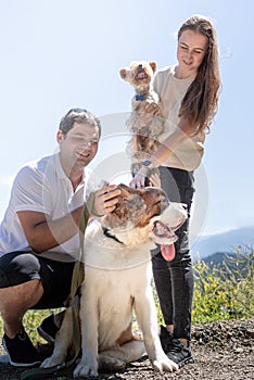 young couple travelling with dogs at the mountains, St.Bernard dog and yourkshire terrier