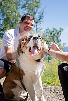 young couple travelling with dogs at the mountains, St.Bernard dog and yourkshire terrier