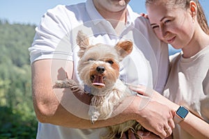 young couple travelling with yourshire terrier dog at the mountains,