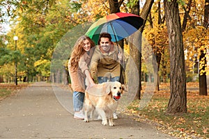 Young couple with umbrella and dog walking