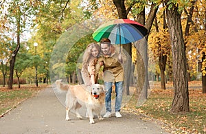 Young couple with umbrella and dog walking