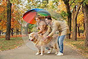 Young couple with umbrella and dog walking