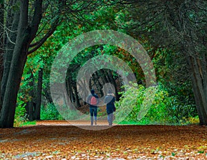 Young couple walking through the Cedar trees on Mackinac Island