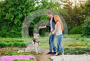 A young couple walking a dog in the park