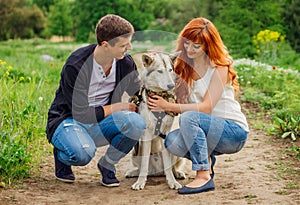 A young couple walking a dog in the park