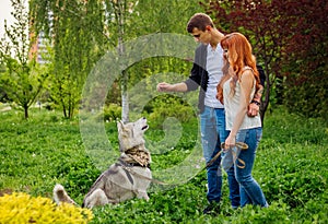 A young couple walking a dog in the park