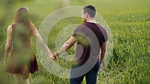 Young couple walking in an oat field. They hold hands, womans hair sway in the air as she turns head. Backview, slow mo