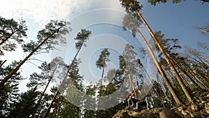 A young couple walks in a pine forest on stone rocks on a bright Sunny day.