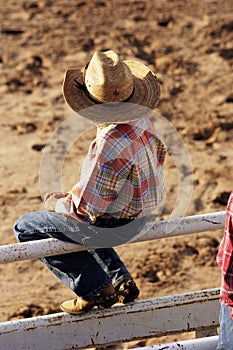 Young Cowboy