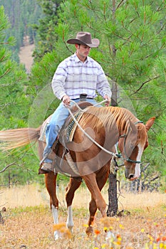 Young cowboy