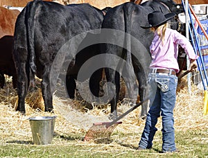 Young cowgirl rakes straw prize bull stall at Boonah Annual Show, Queensland