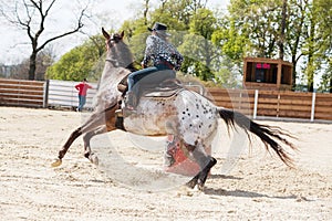 Young cowgirl riding a beautiful paint horse in a barrel racing event at a rodeo.