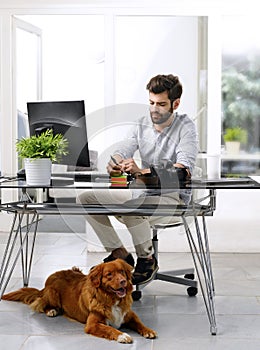 Young creative with his dog at office