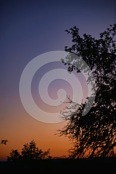 Young crescent moon on a clear sky at the end of the day in the summer