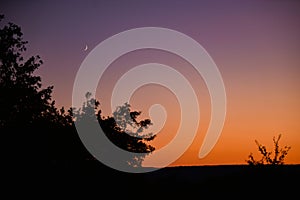 Young crescent moon on a clear sky at the end of the day in the summer