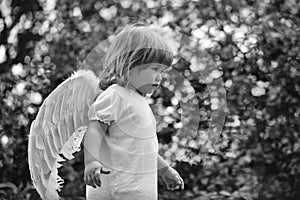 Young Cupid. small boy in angel wings