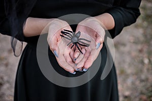 Young cute beautiful woman in dark dress and witch`s hat holdsblack spider in her hands. Halloween party costume. Forest