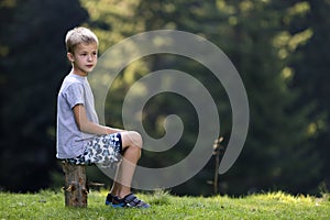 Young cute blond child boy sitting on tree stump on green grassy clearing on bright summer day