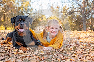 Young cute blonde girl child and her German Rottweiler dog lying and posing in autumn leaves. Friendship, pet and kid.