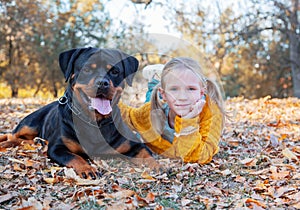 Young cute blonde girl child and her German Rottweiler dog lying and posing in autumn leaves. Friendship, pet and kid.