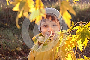 Young cute boy in a yellow jacket on the background of autumn leaves.Autumn background. Copy space