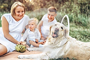 Young cute family on picnic with dog