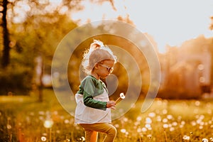 Young cute girl in sun glasses walking on a glade with dandelions. Sunset.