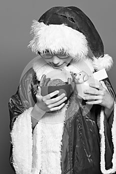 Young cute santa claus boy with glasses in red sweater and new year christmas hat holding pink piggy pig bank and