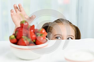 Young cute smiling european little girl is trying to steal ripe jucy strawberry from plate of many berries while she