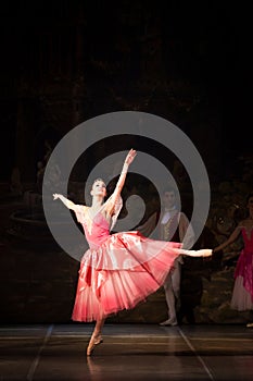 Young dancers ballerinas in class classical dance, ballet