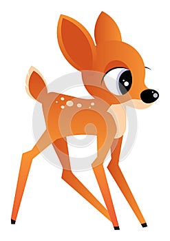 Young deer illustration