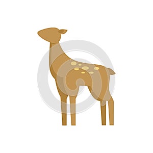 Young deer standing on alert in flat design