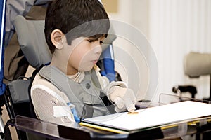 Young disabled boy studying in wheelchair