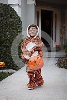 Young diverse child dressed in his Halloween costume outdoors trick or treating. Cute boy in a tiger costume