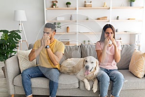 Young diverse couple having cold or flu infection, blowing noses in paper tissues, sitting on couch with their dog