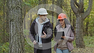 Young diverse employees in helmets, Indian man and oriental woman, forestry engineers in hardhats with tablet walking in