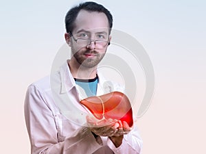 The young doctor holds the human organ liver. Concept of new developments in the treatment of liver diseases photo