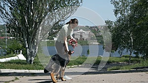 Young dogs trainer with a dog in a park near the lake in summer. Do the exercises. German shepherd training