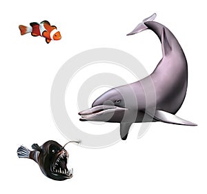 Young Dolphin. Monk Fish and clown Fish