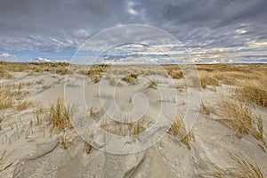 Young Dune landscape formation