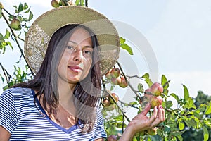 Young dutch woman holding apples in orchard