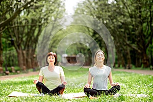 Young and elder woman doing yoga in the park