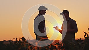 A young and elderly farmer chatting on the field at sunset