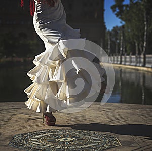 Young elegance flamenco dancer