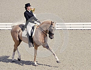 Young elegant rider woman and isabelline horse.