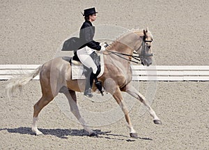 Young elegant rider woman and isabelline horse.