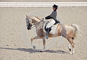 Young elegant rider woman and isabelline horse.