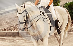 Young elegant rider woman and white horse. Advanced dressage test on equestrian competition.
